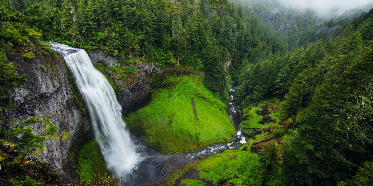 HTML::Parser streaming Perl